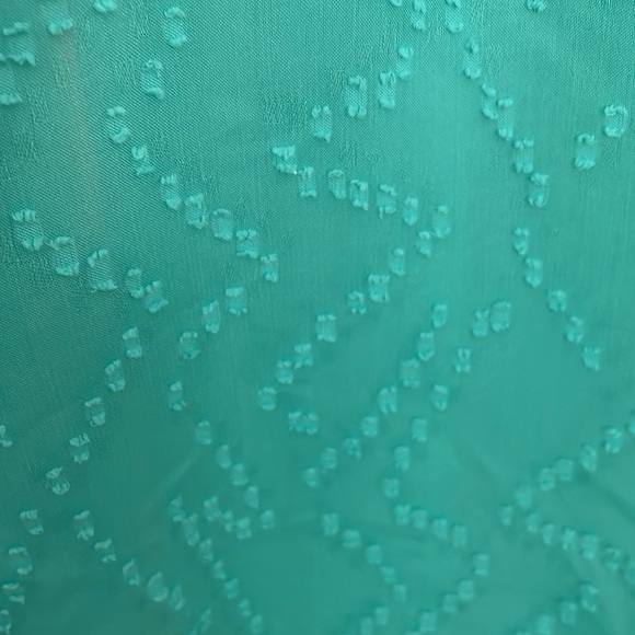 Women sheer green blouse Size Medium - Picture 4 of 5